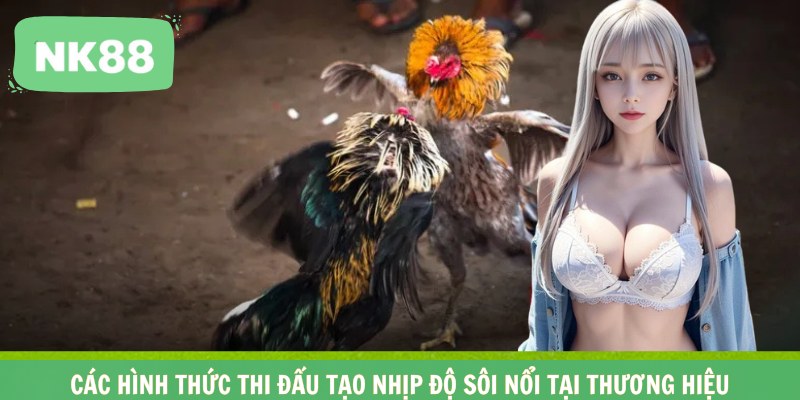 Các hình thức thi đấu tạo nhịp độ sôi nổi tại thương hiệu