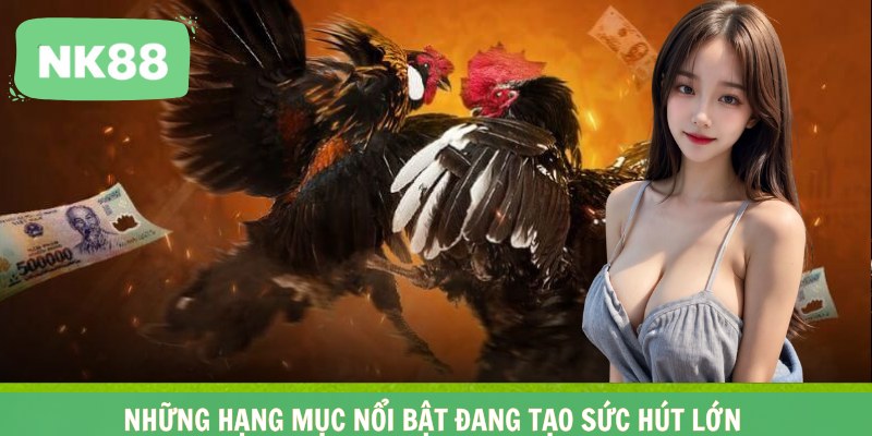 Những hạng mục nổi bật đang tạo sức hút lớn 